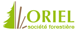 Logo Oriel